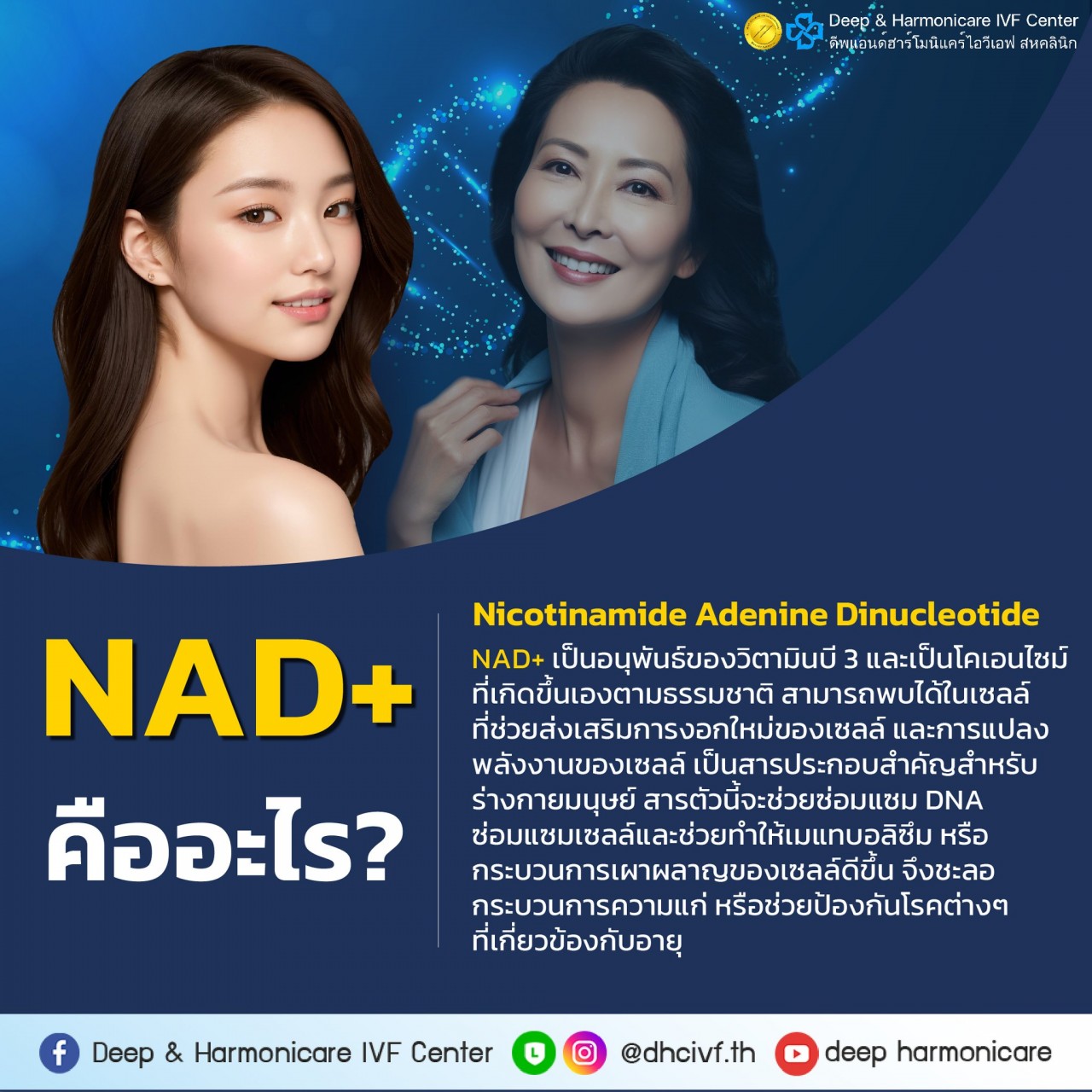 NAD+ คืออะไร?